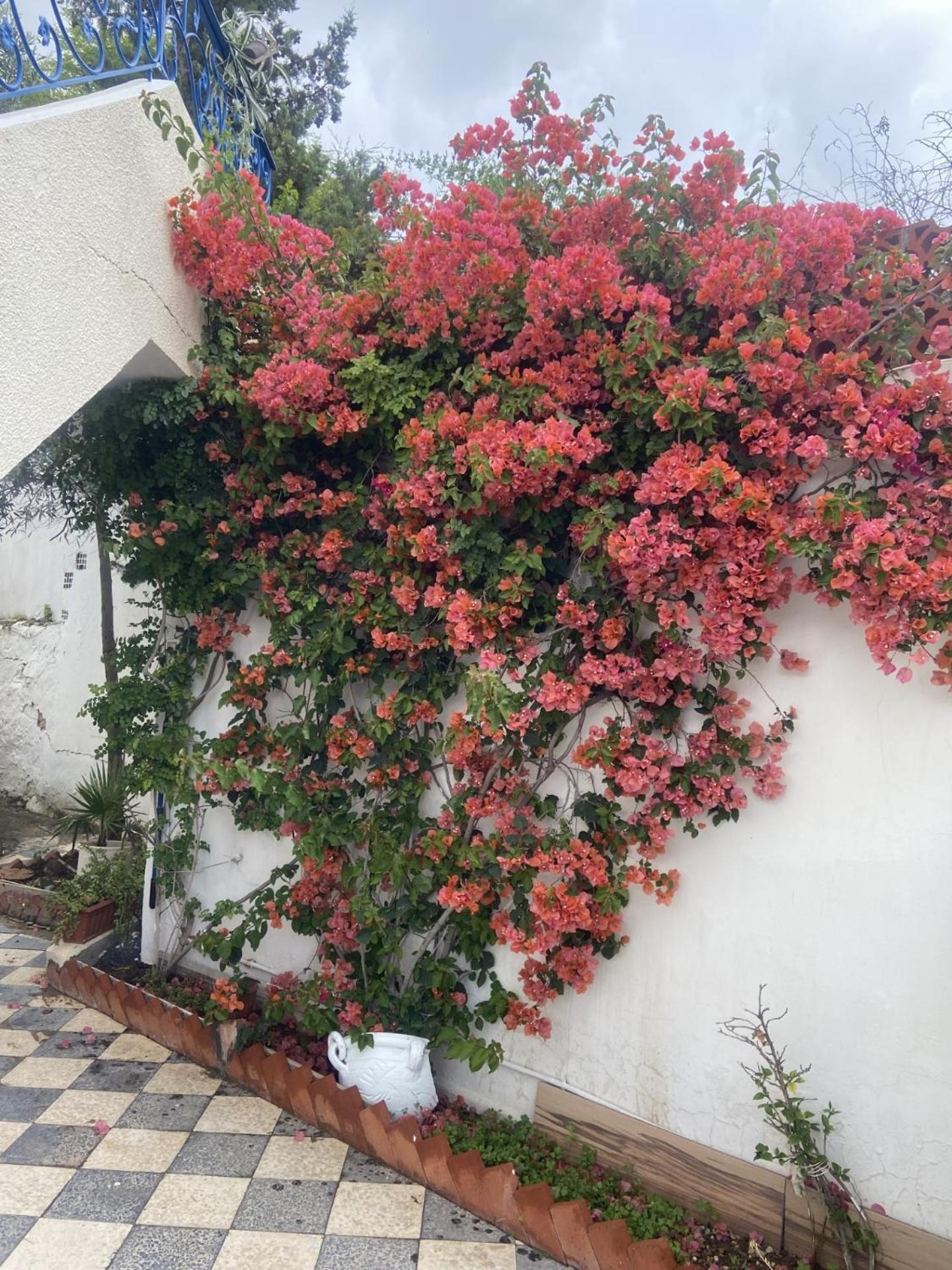 Maison A El Omrane . Tunis Eksteriør bilde
